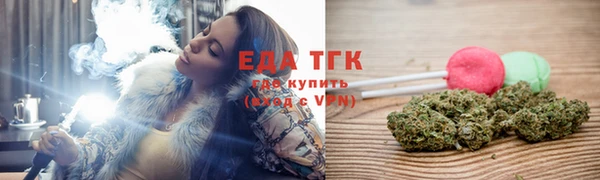 гашик Сосновый Бор
