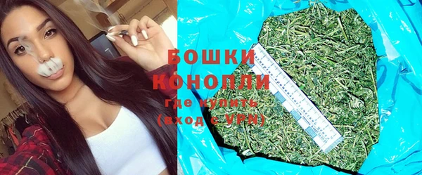 эйфоретик Строитель