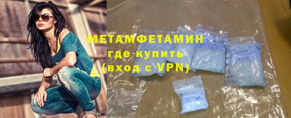 шишки Нестеровская