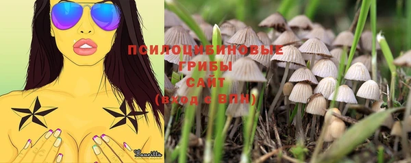 эйфоретик Строитель