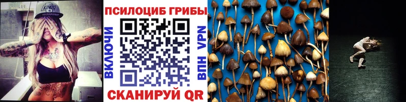 mega зеркало  Тырныауз  Галлюциногенные грибы Cubensis 