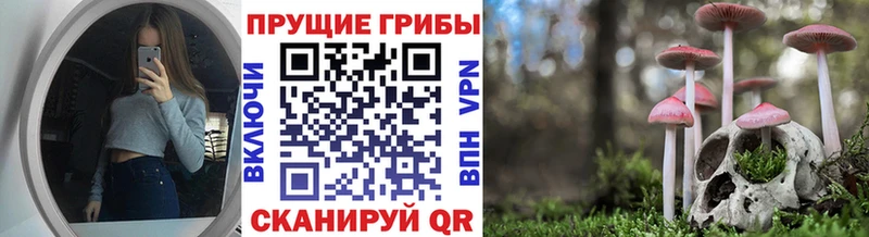 Галлюциногенные грибы Magic Shrooms Тырныауз